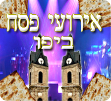 הבילויים המומלצים ביפו