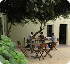 החצר הנשית בתחרות העמותות 2010